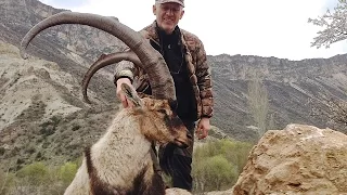 IBEX HUNT in TUT ADIYAMAN