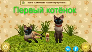 Cat Simulator #5: У меня появился КОТЁНОК!
