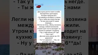 Два КУМА #анекдоты #шутки #приколы #радость #юмор #смех