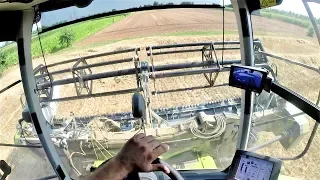 Cab View | Claas Lexion 740 + Cressoni CRX 5.40  | Wheat Harvest