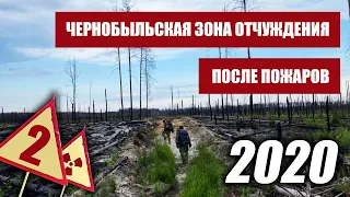 Чернобыльская Зона Отчуждения после пожаров 2020. Часть2