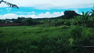 sítio a venda com 2 casas + 2 poços  muita fartura veja 3,6 hectares vendo ou troco veja !!!