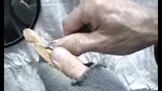 CARVING FEATHERS PART 1