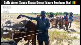 Fombana🇲🇱 Deminal Suuda Baaba Amen Galleeji Sappo Fombana Mali 🇲🇱 26 08 2022 fombana tenenkou MACINA