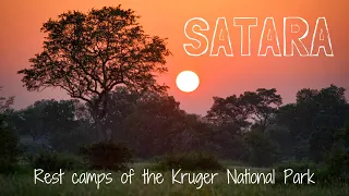 SATARA Rest Camp Review | Kruger National Park Accommodation #2