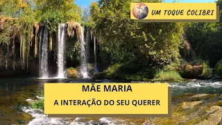 Mãe Maria - A Interação do Seu Querer - 19-04-2024