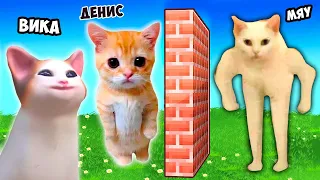 МЫ СТАЛИ КОТИКАМИ МЕМАМИ В РОБЛОКС ВМЕСТЕ С ВИКОЙ ! CAT MEME RP @vikiblissplay7