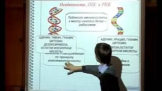 МОУ СОШ №10 г. Сердобск