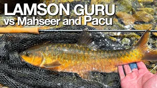 Testing New Lamson Guru fly rod plus Sharing Fishing Tips for Sabah Mahseer and Pacu in EAK