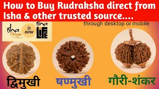 How to buy Rudraksha from Isha & other trusted source..... 🤔 #rudrakshadikshakit #isha #rudraksha