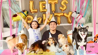 My Dog's Epic Birthday Pawty !!! 🐾