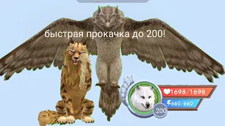 быстрая прокачка до 200!!//как быстро прокачаться wild craft ✨