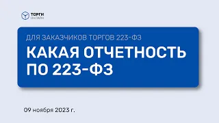 Проверенные советы: отчетность по 223 ФЗ в 2023 году