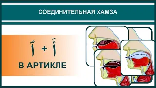 Айман Сувейд. 10. Соединительная хамза: СОЕДИНИТЕЛЬНАЯ + РАЗДЕЛИТЕЛЬНАЯ (в артикле) (с субтитрами)