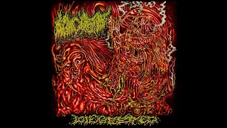 MORGUE TAR - DIEGESTED (2024) [Goregrind D-Beat]
