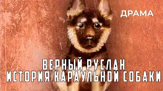 Верный Руслан История караульной собаки (1991 год) драма