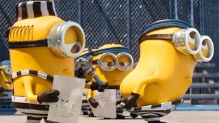 These SUS MINIONS can't be stopped anymore...