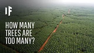 What If We Planted a Trillion Trees ? What If All Trees Disappear From Our Beautiful Earth ?