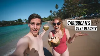 We Found Dominican Republic’s MOST BEAUTIFUL Beaches! | Las Galeras Beach Hopping Day 😍