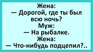 Дорогой, ты где был всю ночь?.... Анекдоты смешные до слез! Юмор! Приколы!