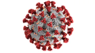 Science of Coronavirus Structure, Vaccines and Therapies