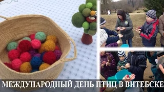 Дуплянка своими руками. Международный день птиц в Витебске 2016