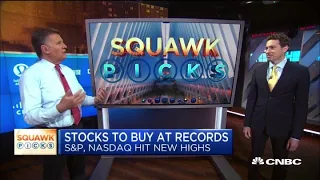 Top stock picks as S&P 500, Nasdaq hit new highs: Payne Capital Management president