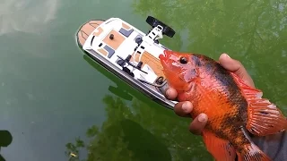 RC Boat CATCHES FISH!!!