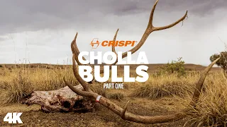 Crispi Boots | Cholla Bulls Part 1 - Crispi Hunting Boot Series