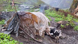 Very Relaxation Nepali Mountain Village Life in Rain Time | Simple the Best Village Life | Real Life