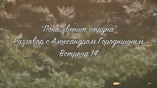 Пока звенит струна. Разговор с Александром Городницким. Встреча четырнадцатая.