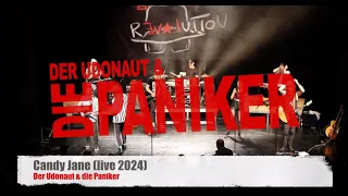 Der Udonaut & die Paniker - Candy Jane (live 2024 Nienburg)