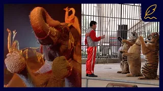 The Truth About Circus Animals | Naturee Stories