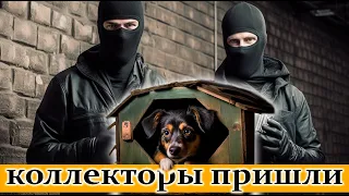 Что делать если домой пришли коллекторы?! Как себя вести? #коллекторы2024