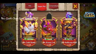 Castle Clash Super Pets - All Info, SetUp, Trait🐯🐊🦅.. Best Super Pets for Hero... Watch now...