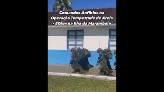 COMANDOS  ANFÍBIOS