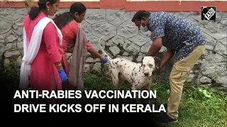 Kerala: Pet dogs given anti-rabies vaccine amid the rise in dog-bite cases