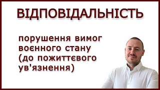 ВІДПОВІДАЛЬНІСТЬ ЗА ПОРУШЕННЯ КОМЕНДАНТСЬКОЇ ГОДИНИ #мобілізація #адвокатстамбула #воєннийстан