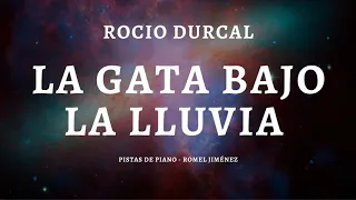 Rocio Durcal - La Gata Bajo La Lluvia (Acoustic Base / Piano / Karaoke / Playback / Instrumental)