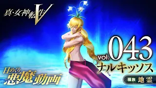 ナルキッソス - 真・女神転生V 日めくり悪魔 Vol.043