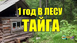 ГОД В ГЛУХОЙ ТАЙГЕ | КРУШЕНИЕ САМОЛЕТА | ЛЕТЧИК ИСПЫТАТЕЛЬ СССР | ВЫЖИТЬ В ЛЕСУ  1 из 10