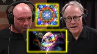 Ayahuasca, DMT and the Afterlife | Joe Rogan Experience