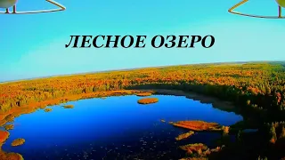 Лесное озеро рядом с селом Берёзовка. Неверкинский район.