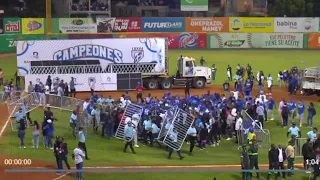 Momento Epico Que Los Tigres Del Licey Ganan Su Corona 24 Vs Estrellas Orientales