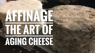 Affinage- Tips and Tricks for Successful Cheese Aging at Home