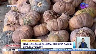 Tone-toneladang kalabasa, itinatapon na lang dahil sa oversupply | BT