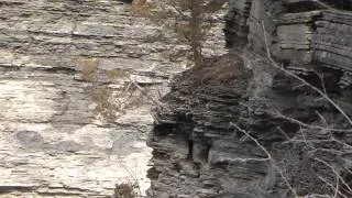 Taughannock Falls and South Rim Trail HD.mp4