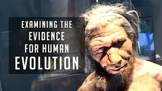 Examining the Evidence for Human Evolution