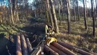 Deutz 5506 mit Rückewagen Country T50/480 beim Holz laden