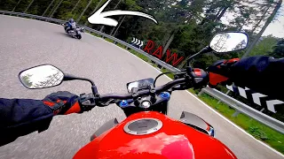 Chasing fast BMW GS down a mountain road || raw onboard ep.6